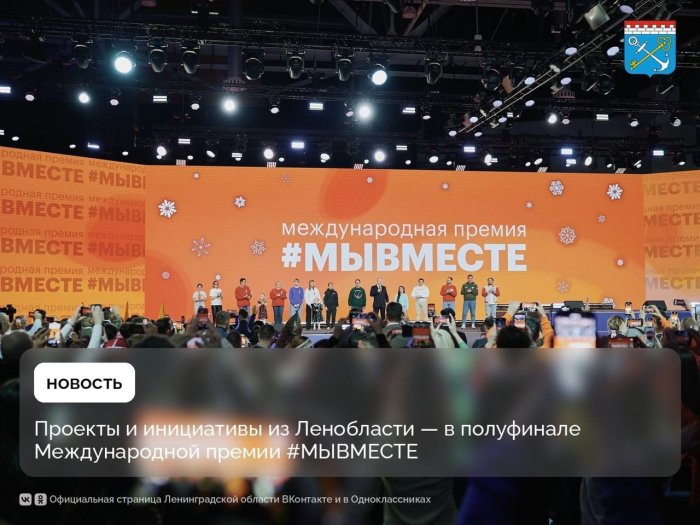 Проект Мультицентра социальной и трудовой интеграции «Проверено СВОими» вошёл в число полуфиналистов Международной премии #МЫВМЕСТЕ